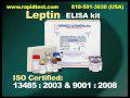 Leptin ELISA kit