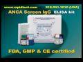 ANCA SCREEN IgG ELISA kit