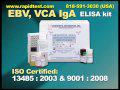 EBV,VCA IgA ELISA kit