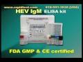 HEV IgM ELISA kit