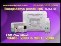 Toxoplasma gondii IgG -Toxo IgG- ELISA kit