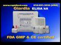 Giardia ELISA kit