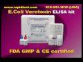 E.Coli-verotoxin ELISA kit
