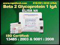 Beta 2 Glycoprotein 1 IgA ELISA kit