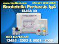 Bordetella IgA ELISA kit